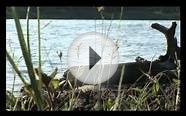 Диалоги о рыбалке. Ростов на Дону. Соревнования. Плотва