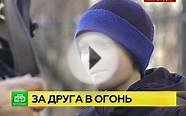 Петербургский школьник героически спас из огня соседскую